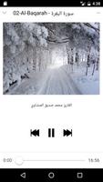 محمد صديق المنشاوي - Quran mp3 تصوير الشاشة 2