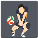 Volley Ball Wallpaper HD APK