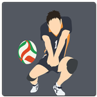 Volley Ball Wallpaper HD icono