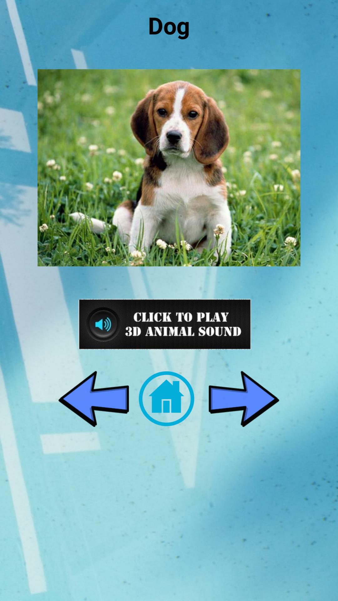 3D Animal Sounds APK for Android Download
