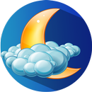 Light Smart Weather Pro APK