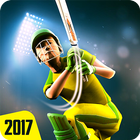 Play Cricket 2017 আইকন