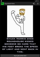 Chuck Norris Facts poster