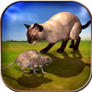Angry Cat VS Mouse APK