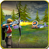 Archery 3D Game 2016 icône