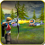 Archery 3D Game 2016 icon