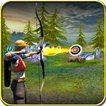 Archery 3D Game 2016