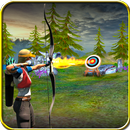 Archery 3D Game 2016-APK