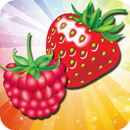 Fruit Mania Rush APK