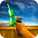 Target Bottle Shooter APK