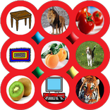 Animal Sounds & Education