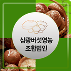 삼광버섯영농조합법인-icoon