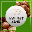 삼광버섯영농조합법인 icono