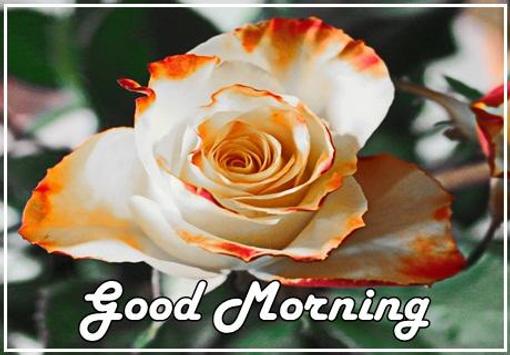 Good Morning Flowers For Android Apk Download