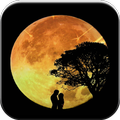 Good Night My Love
