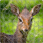 Puzzle Jungle Animals icône