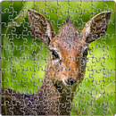 Puzzle Jungle Animals APK