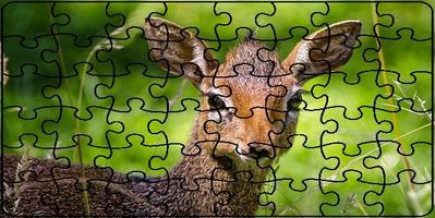 Puzzle Jungle Animals capture d'écran 3