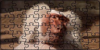 پوستر Puzzle Jungle Animals