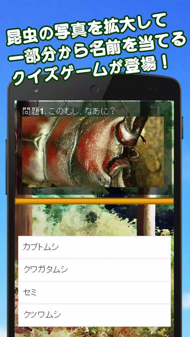 このむし なあに 昆虫写真あてクイズ For Android Apk Download