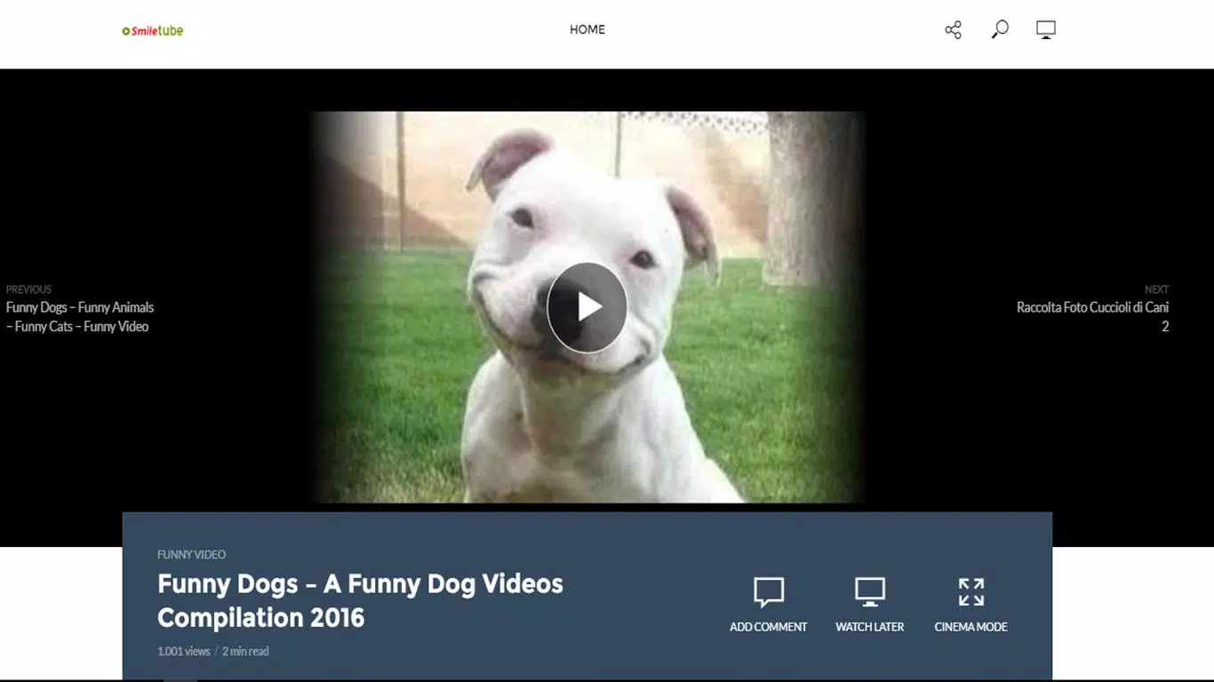 Funny videos on youtube. APK for Android Download