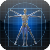 Human Anatomy,Physiology Wiki आइकन