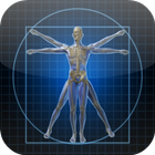 Human Anatomy,Physiology Wiki آئیکن