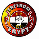 ثورة 25 يناير المصرية icône