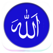 Islamic Videos Bangla