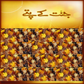 Jannat k Patty(Complete!)