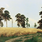 Wallpapers Ivan Shishkin ikon