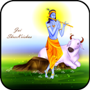 Krishna Mantra and Bhajan in Hindi APK