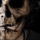 smoking skull live wallpaper icon