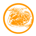 Turtle Info