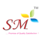 SM Silver icône