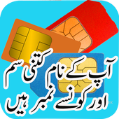 Pakistan SIM Information icon