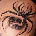 Spider Tattoo Ideas icône