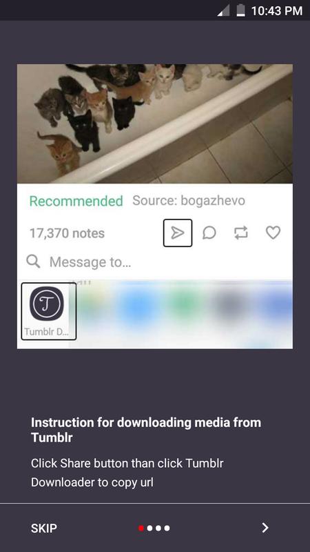 Tumblr Video Downloader