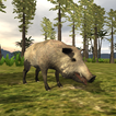 Wild boar simulator 2019