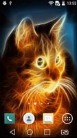Sunny cat live wallpaper Ekran Görüntüsü 1