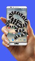 Snake On Screen 3D Affiche