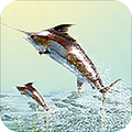 Fishing Match