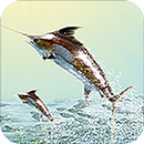 Fishing Match APK