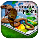 Snake on Phone Prank APK