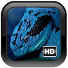 Wild Snake Wallpaper أيقونة