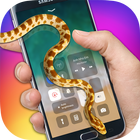 ikon Screen Snake: Snake Screen Phone (New)