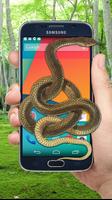 Snake On Phone & Screen -  Hissing Simulator Plakat