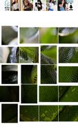 Snake Picture Jigsaw پوسٹر