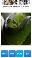 Snake Picture Jigsaw 截图 1