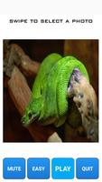 Snake Picture Jigsaw ảnh chụp màn hình 2